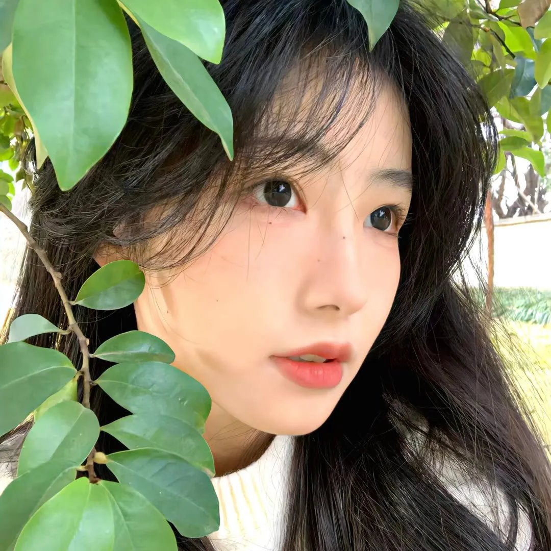 風情萬種野玫瑰